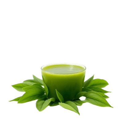 Chá Verde