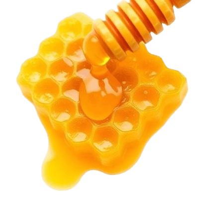 Própolis